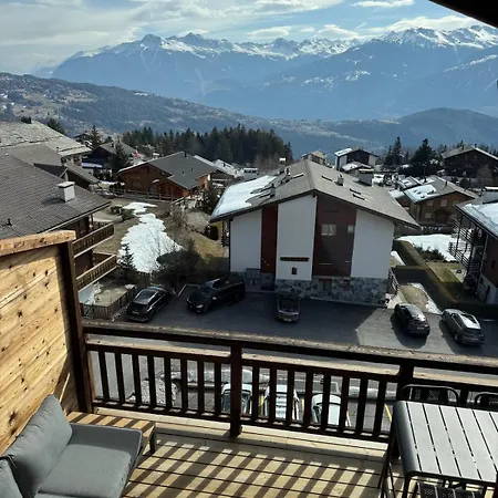 New With View 安塞热