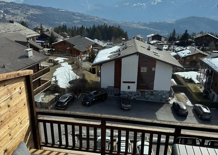 New With View 安塞热